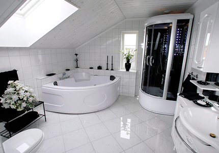 http://int-interior.ru/wp-content/uploads/2012/01/white-black-bathroom.png