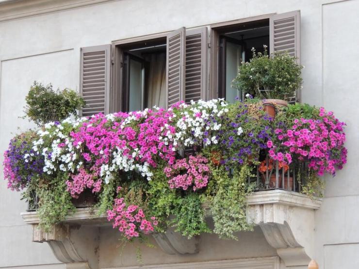 как украсить балкон цветами