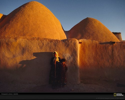 Краски жизни в фотографиях: оранжевый