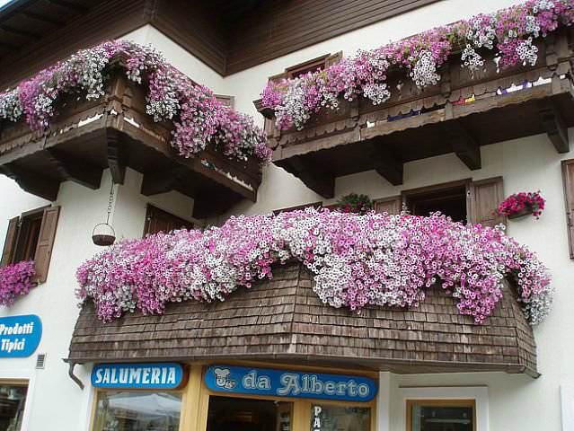 Цветы на балконе являются признаком хорошего вкуса и очень украшают фасад любого здания