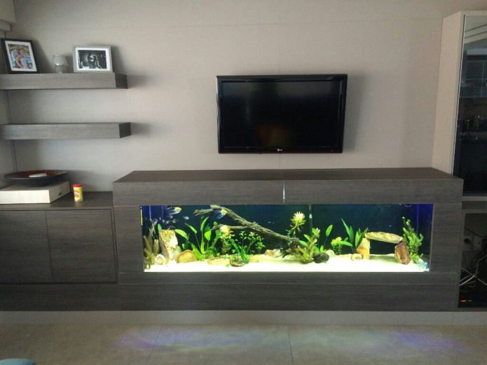 телевизор на стене с аквариумом в гостиной