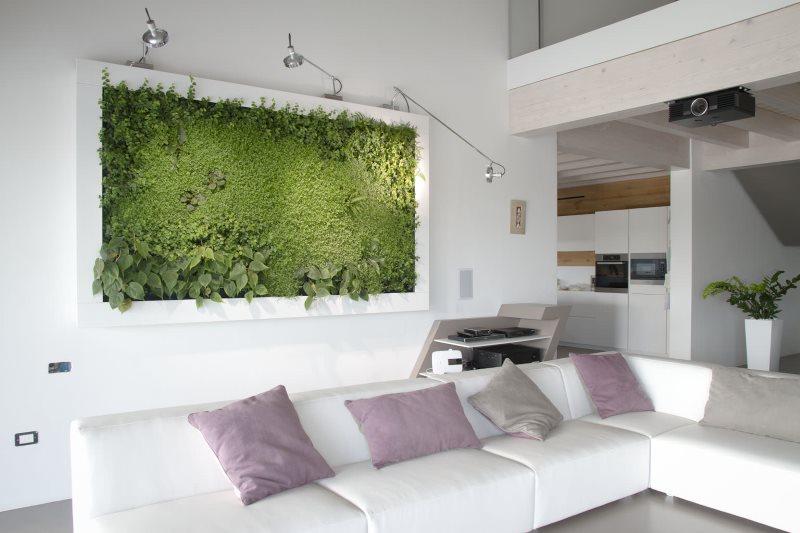 Живой ковер на стене кухни-гостиной в эко-стиле