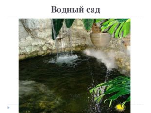Водный сад 