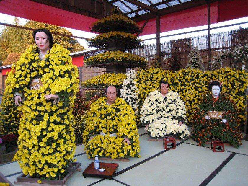 Культ хризантем в Японии