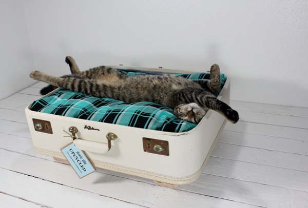 лежанка для кошки своими руками из старого чемодана