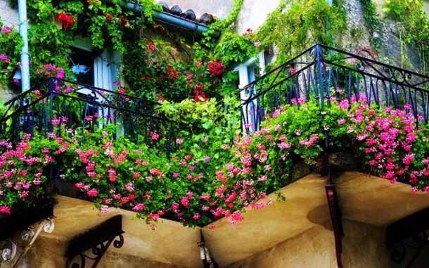 красивый балкон с цветами