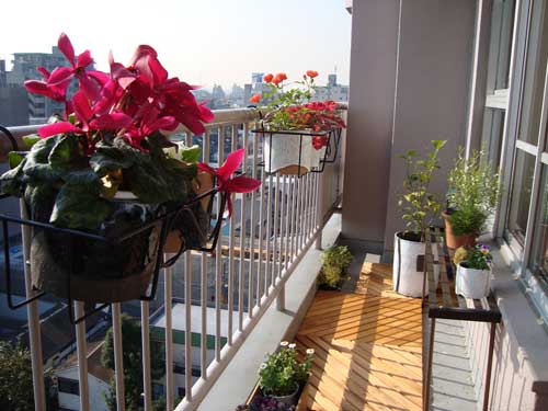 Розовые растения на балконе