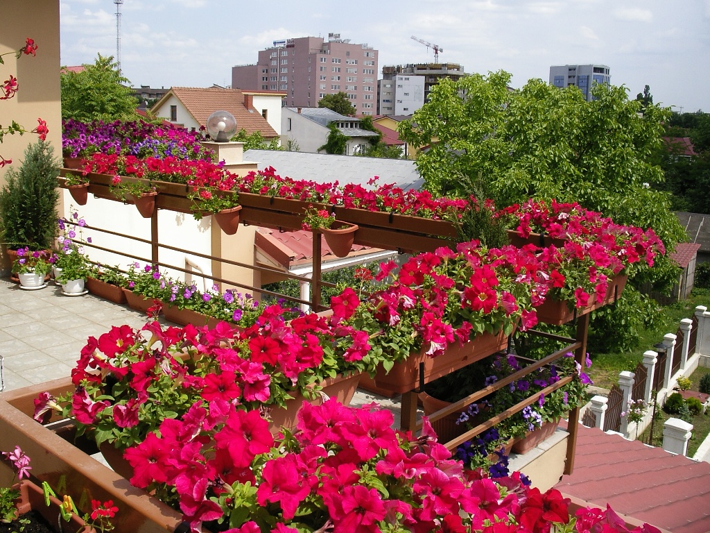 Красивый цветник на балконе