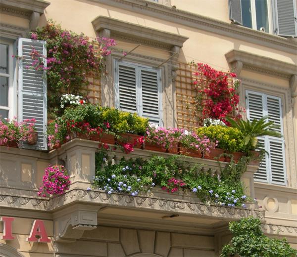 Цветник на балконе - цветник украшает фасад дома. Фото 1