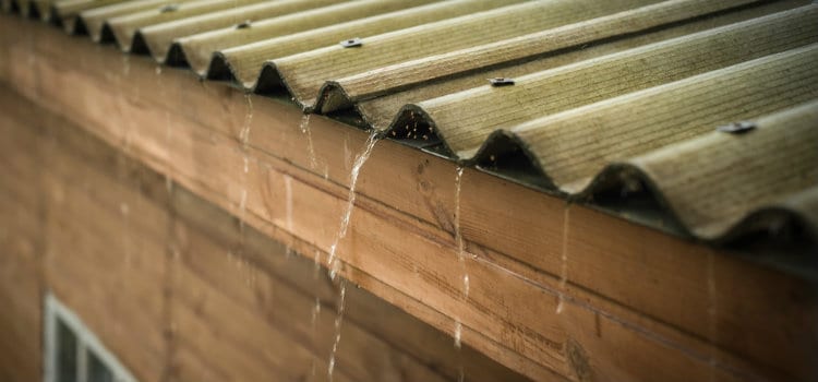 How to Waterproof Your Shed